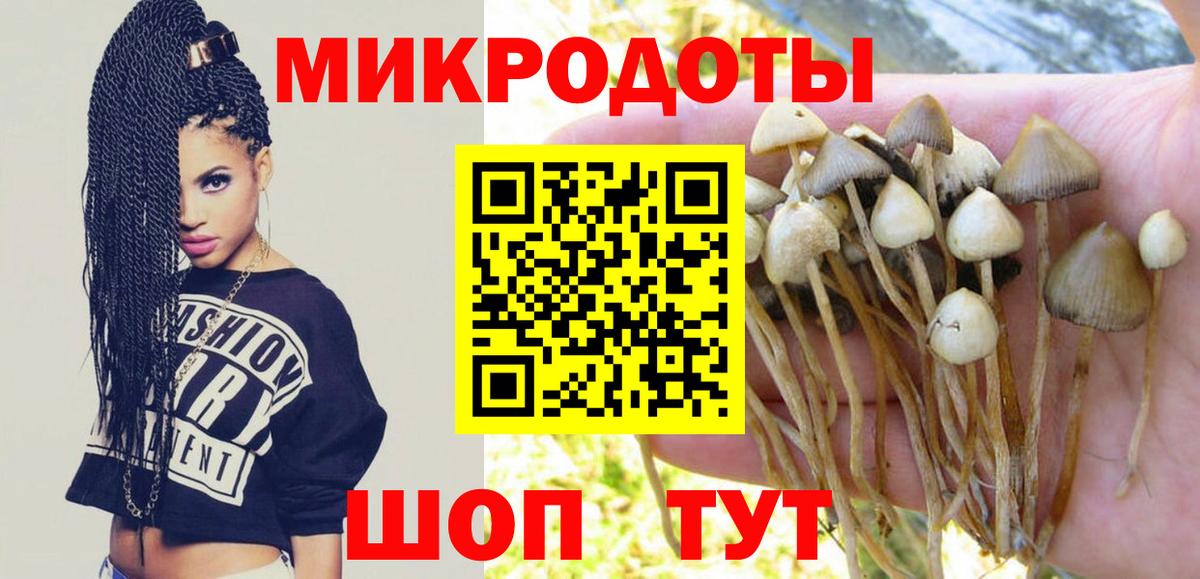Галлюциногенные грибы Cubensis Нижневартовск